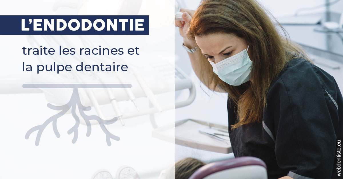 https://dr-nathalie-lambert.chirurgiens-dentistes.fr/L'endodontie 1