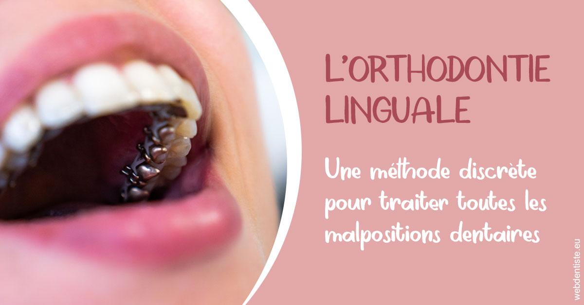 https://dr-nathalie-lambert.chirurgiens-dentistes.fr/L'orthodontie linguale 2