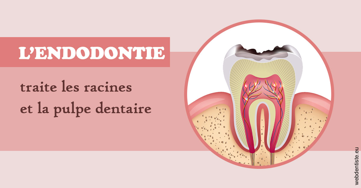 https://dr-nathalie-lambert.chirurgiens-dentistes.fr/L'endodontie 2