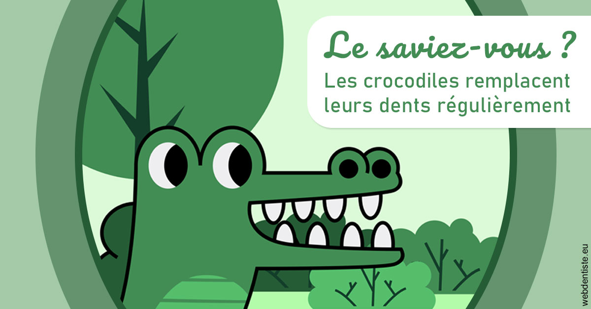 https://dr-nathalie-lambert.chirurgiens-dentistes.fr/Crocodiles 2
