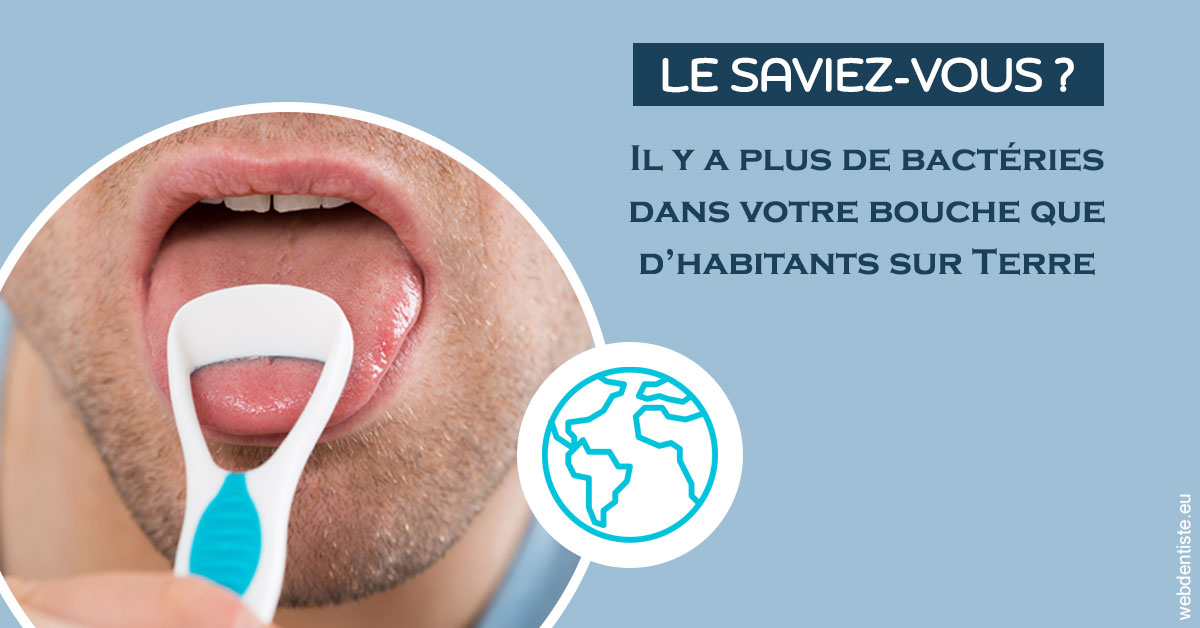 https://dr-nathalie-lambert.chirurgiens-dentistes.fr/Bactéries dans votre bouche 2