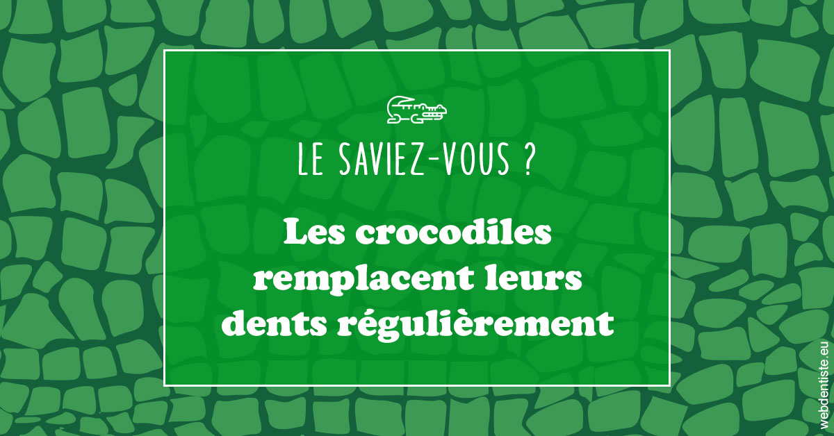https://dr-nathalie-lambert.chirurgiens-dentistes.fr/Crocodiles 1